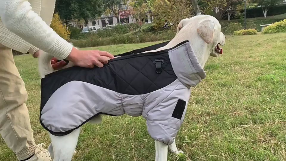 Winter Dog Coat