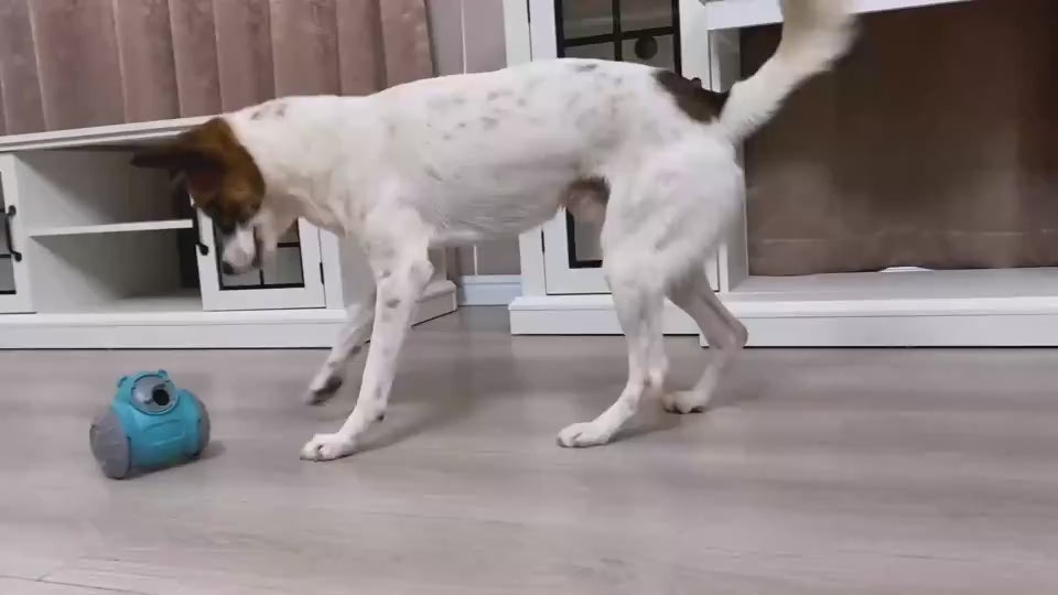 Dog Tumbler Toy Interactive Dog Puzzle Feeder