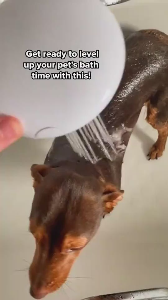 Silicone Dog Bath Brush