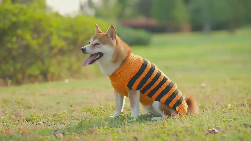 Halloween Dog Sweaters
